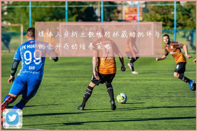 媒体人分析主教练对林葳的批评与机会并存的培养策略