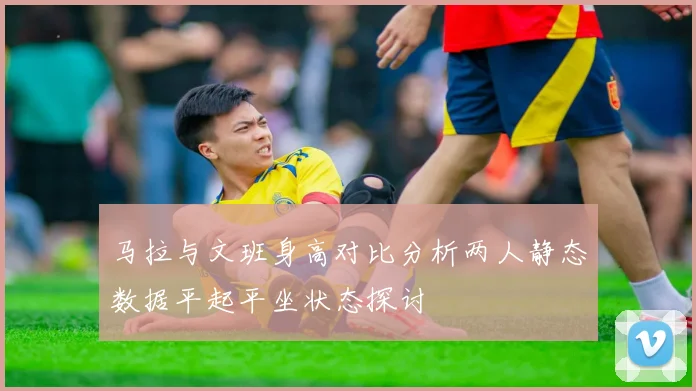 马拉与文班身高对比分析两人静态数据平起平坐状态探讨
